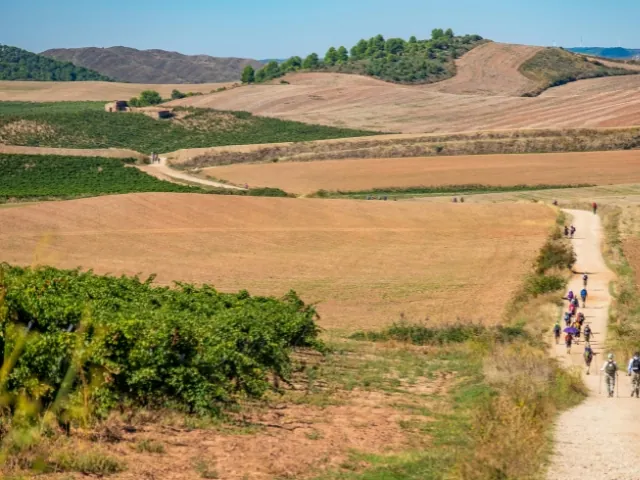 hikers on the Camino De Santiago